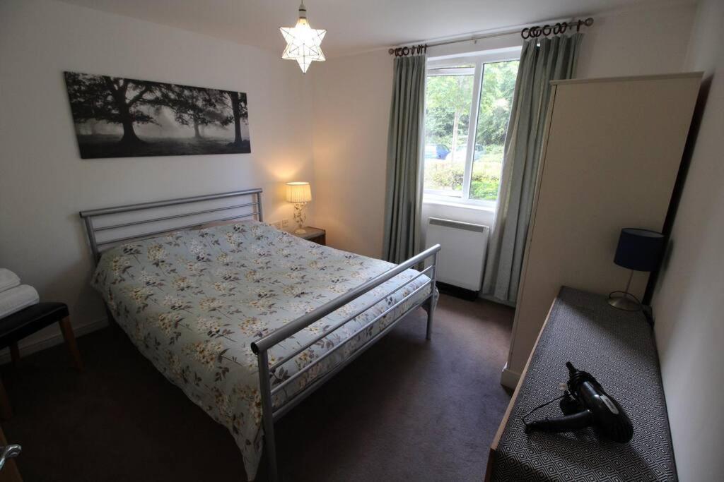 3 Bedroom Flat 10 Mins Walk To Bay And City Center Free Parking 卡迪夫 外观 照片