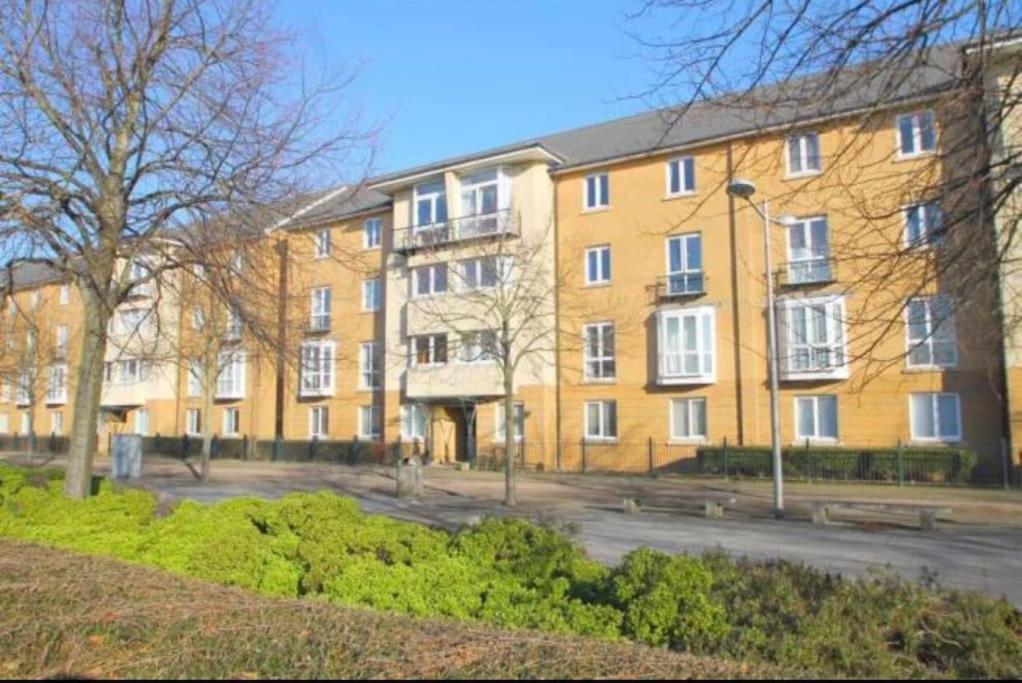 3 Bedroom Flat 10 Mins Walk To Bay And City Center Free Parking 卡迪夫 外观 照片