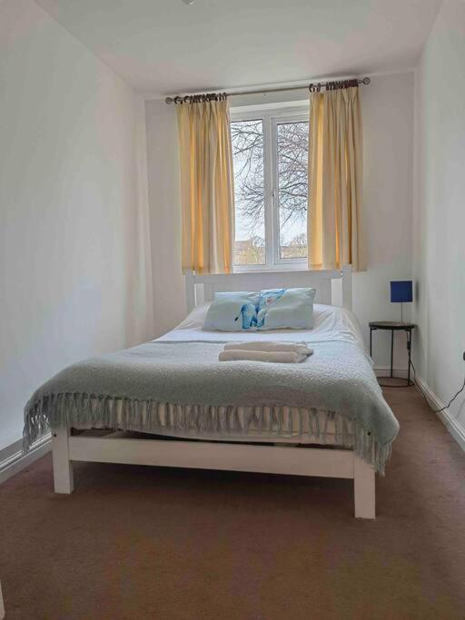 3 Bedroom Flat 10 Mins Walk To Bay And City Center Free Parking 卡迪夫 外观 照片